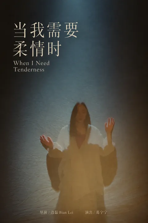 当我需要柔情时：作品海报