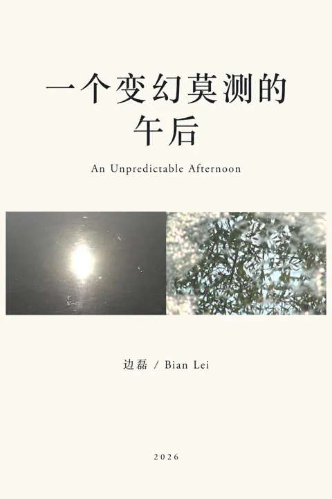 一个变幻莫测的午后：作品海报